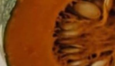 Pumpkin Home Remedies for High Blood Sugar, Cholesterol, and Artery Cleansing