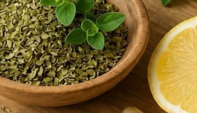 Cuban Oregano: The Medicinal Plant That May Naturally Support Your Well-Being