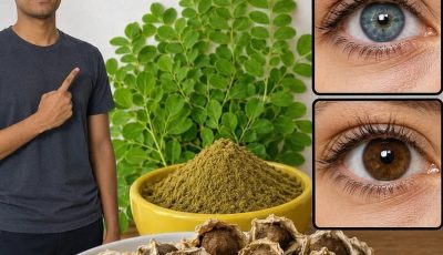 Discover the Secrets of Moringa for Eye Health and Overall Well-Being: What the Tree of Life Offers