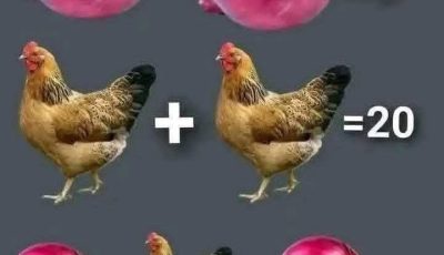 Search Results for: Only one in ten people can solve this puzzle – can you?