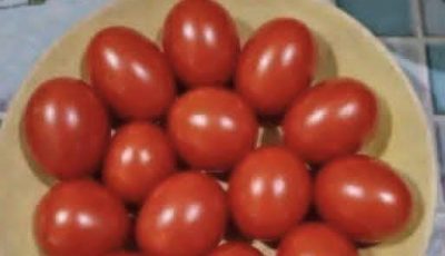 Eye Test!! Count The Tomatoes Is It 12 or 13 ???