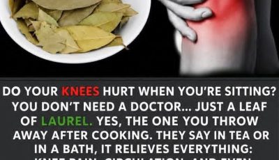 Bay Leaf Recipe for Knees and Joints: Natural Remedies for Joint Wellness