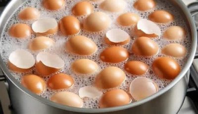 Boiling Eggshells for Various Uses