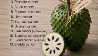 Green Wellness Smoothie