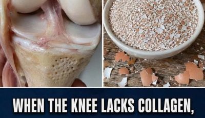 Eggshells for Bone Health: Natural Calcium Support for a Stronger Body