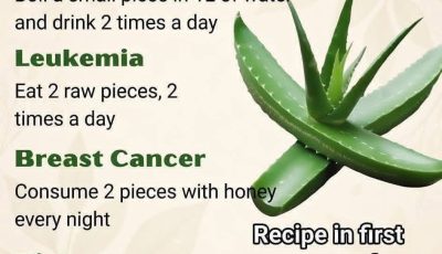 16 Health Problems That Aloe Vera Could Help Combat
