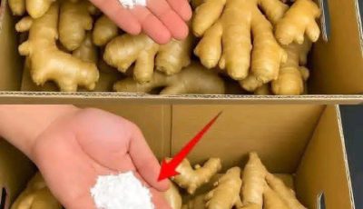 Ginger: Nature’s Secret Weapon for Radiant, Youthful Skin