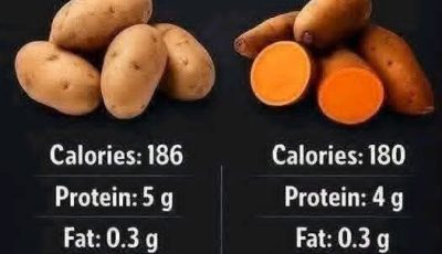 clear comparison between white potatoes and sweet potatoes