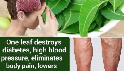 Neem Leaves for Better Health: Benefits, Uses, and How to Consume Them