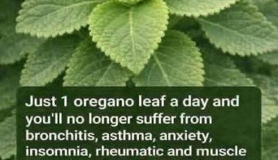 Oregano: The Golden Herb for Eye Health