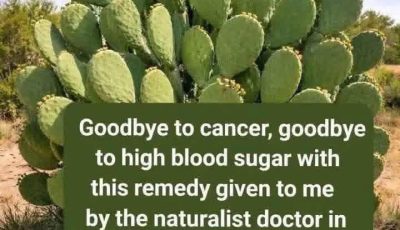 CACTUS OR CACTUS KNOWN AS PLANT OF LIFE
