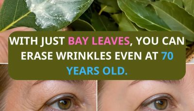 Bay Leaf Oil Triggers Firmer-Looking Skin by Flooding Dry Cells