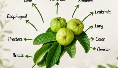 Guava Leaves for Wellness? Benefits, Risks, and What to Know First