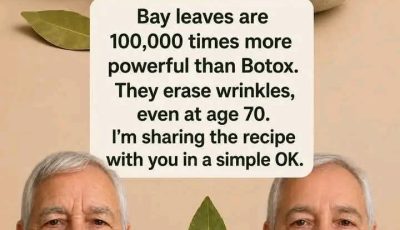 Bay Leaf: The Natural Wrinkle Eraser for Ageless Beauty