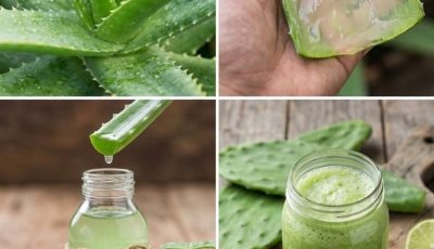 Unlock Your Glow: The Power of DIY Aloe Vera Ice Cubes for Radiant Skin