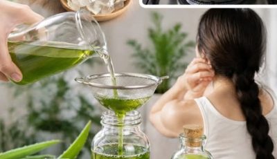 Aloe Vera Oil for Hair Growth: A Natural, Step-by-Step Guide to Thicker, Longer Hair