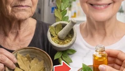 Bay Leaves for Skin Health: Exploring Traditional Uses, Antioxidant Properties, and Easy Home Tips