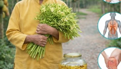 The Hidden Power of Male Papaya Flowers – Benefits and How to Use Them