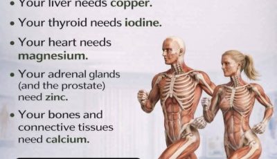 Foods That Help Boost Collagen Production Naturally