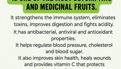 The Power of Lemon to Support Your Wellness with a Simple Natural Recipe