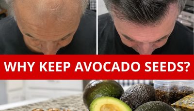 Avocado Seed Hair Tonic: What It Triggers in a Thinning Scalp