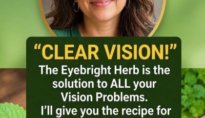 Eyebright Herb Tea: A Premium Natural Ritual for Calm Eyes, Modern Kitchens, and Wellness-Inspired Living
