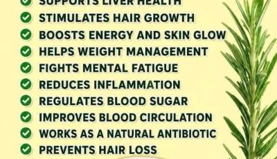 Rosemary Benefits: 20 Powerful Uses for Your Health
