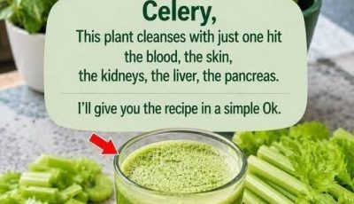 Easy Healthy Recipes