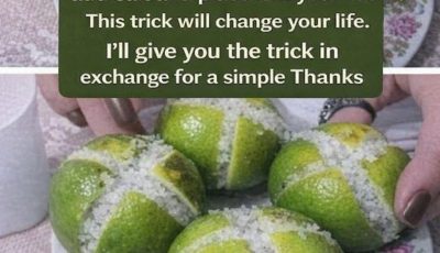 THE LEMONS