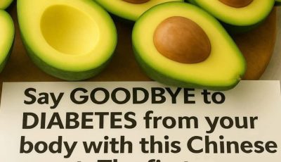 Avocado Seed Benefits: Uses, Properties, and How to Consume It for Better Health