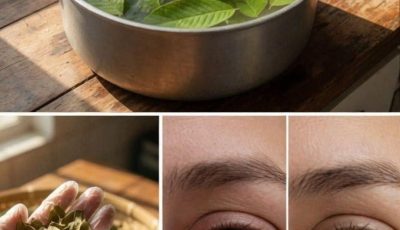 Blurry vision, or irritated or tired eyes? Many people are trying guava leaf tea to