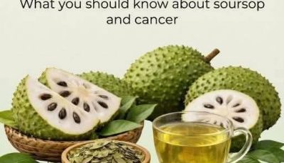 Soursop and Cancer: Myths and What Science Says