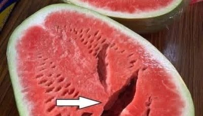 You cut open a watermelon and saw cracks? Stop eating it immediately! Here’s what it means!
