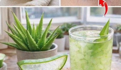 Unveiling Ancient Secrets: Aloe Vera & Cinnamon