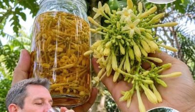 Papaya Flower Tea? Benefits, Risks, and What to Know First