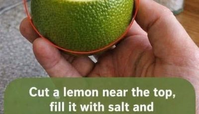 The Salted Lemon Air Purifier