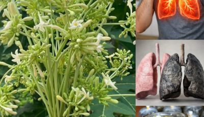 17 Surprising Benefits of Papaya Flowers for Thriving Health After 30