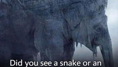 Snake or Elephant? This Viral Optical Illusion Claims to Reveal How You See the Future