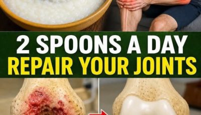 Experts Say This Everyday Food Could Be the #1 Natural Protector of Knee Cartilage — Here’s What Research Revealed