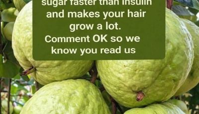Guava Recipes for Balanced Blood Sugar and Stronger Hair – Natural Remedies that Work