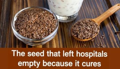 Grape Seed Benefits: Why These Tiny Seeds Are a Powerful Natural Antioxidant