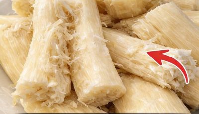 The Hidden Health Risks and Benefits of Cassava (Yuca) You Should Know Rakan WebonMarch 9,