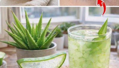 Unveiling Ancient Secrets: Aloe Vera & Cinnamon