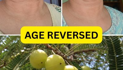 12 Collagen-Rich Foods That Turn Back the Aging Clock