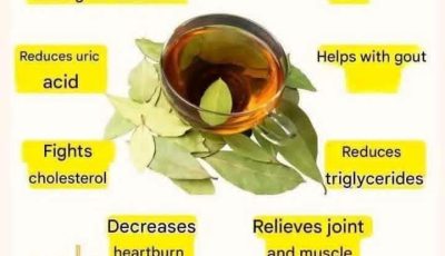 Bay Leaf Tea: Benefits and How to Prepare It
