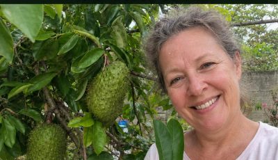 10 Soursop Leaves Boiled for 7 Minutes: The Hidden Flush Inside Your Body