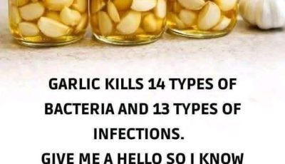 El Garlic: The Natural Antibiotic That Wages War on Infections