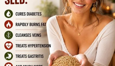 Alpiste: The Miracle Seed of Nature (Benefits, Uses, and How to Consume It)