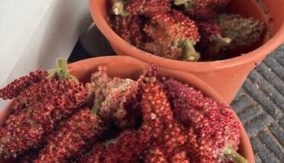 Sumac has many benefits.