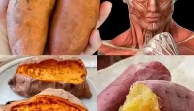 What Happens When You Start Eating Sweet Potatoes Every Day? 🍠✨